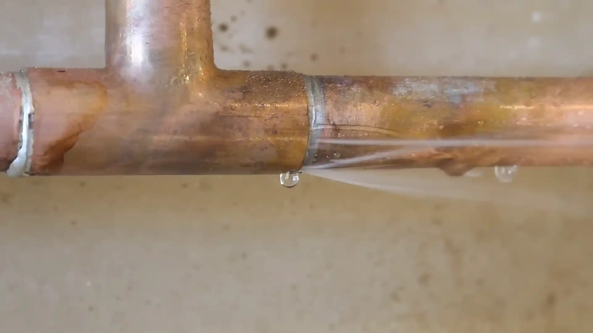 Copper Pipe Leak Detection and Repair in Round Rock, TX in Round Rock, TX