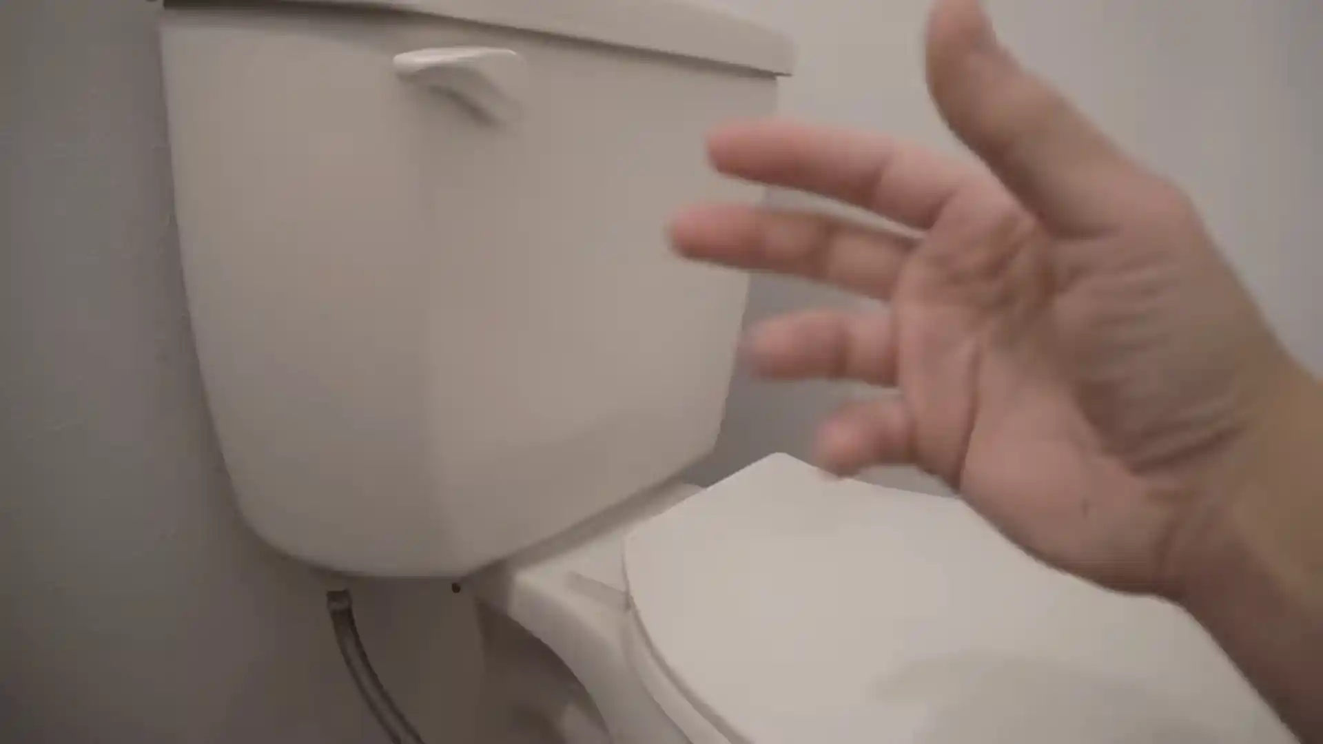 Toilet Leak Detection and Repair in Round Rock, TX in Round Rock, TX
