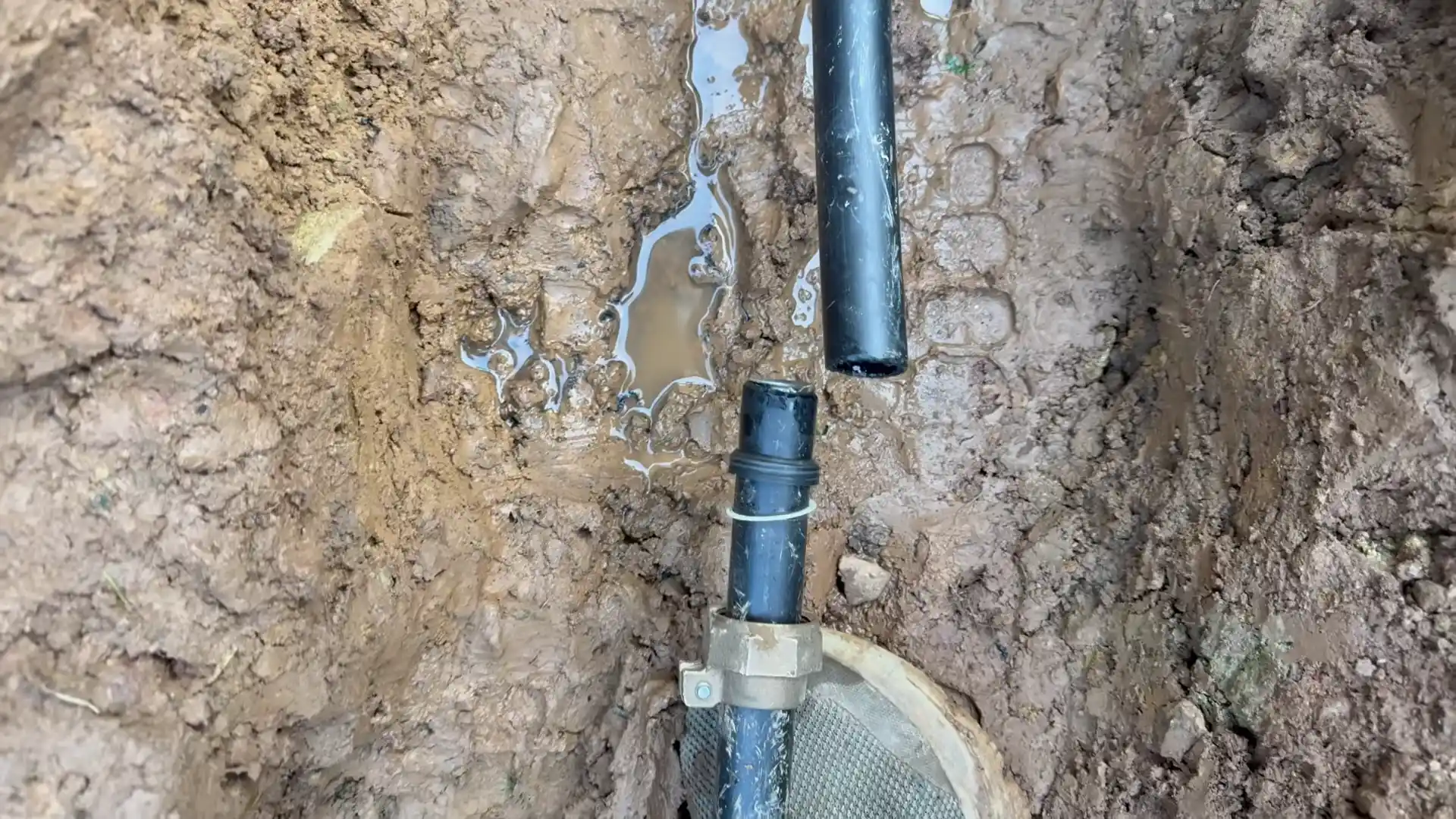 Yard Leak Detection and Repair in Round Rock, TX in Round Rock, TX